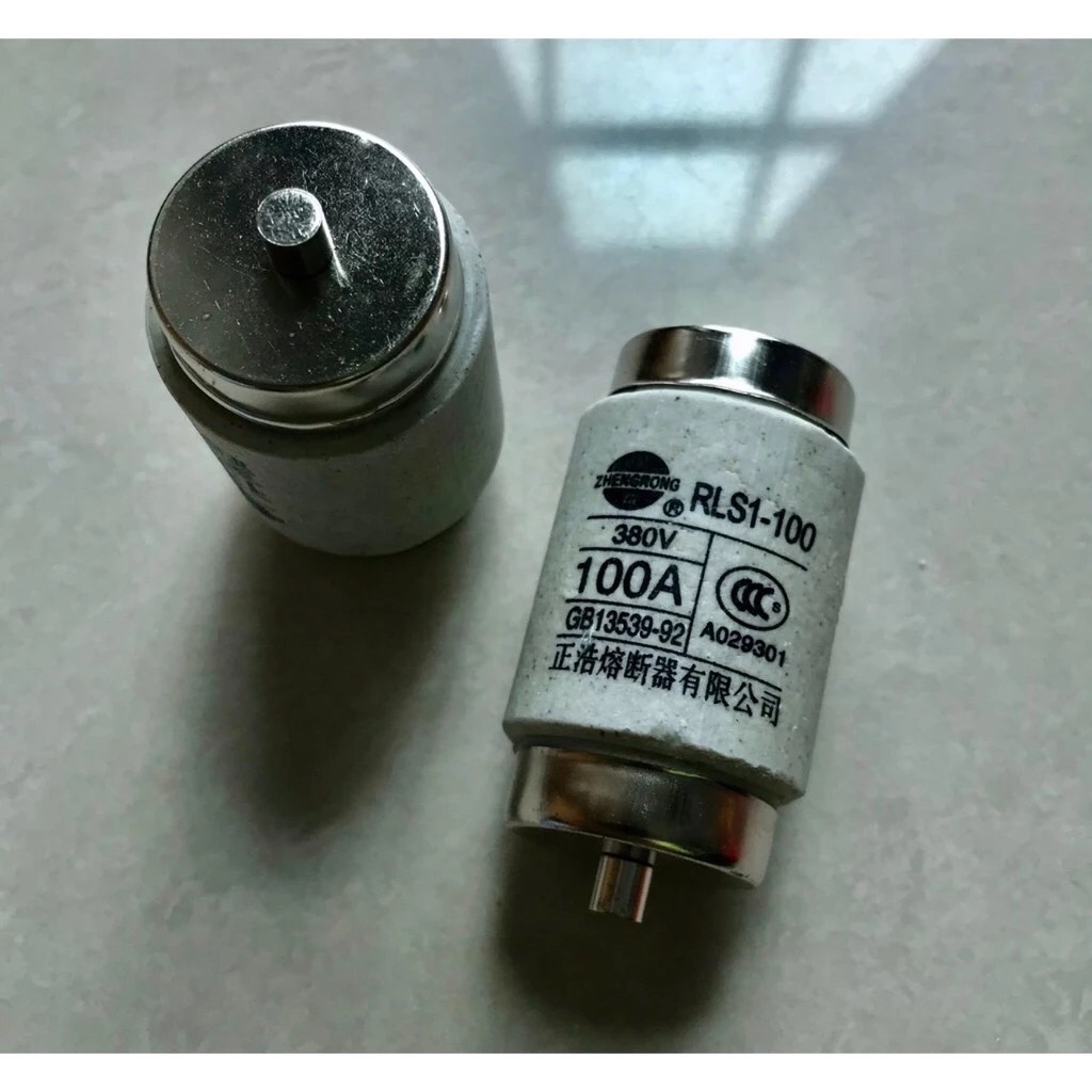 RLS1-100 500V-120KA 100A (ราคา1ตัว)