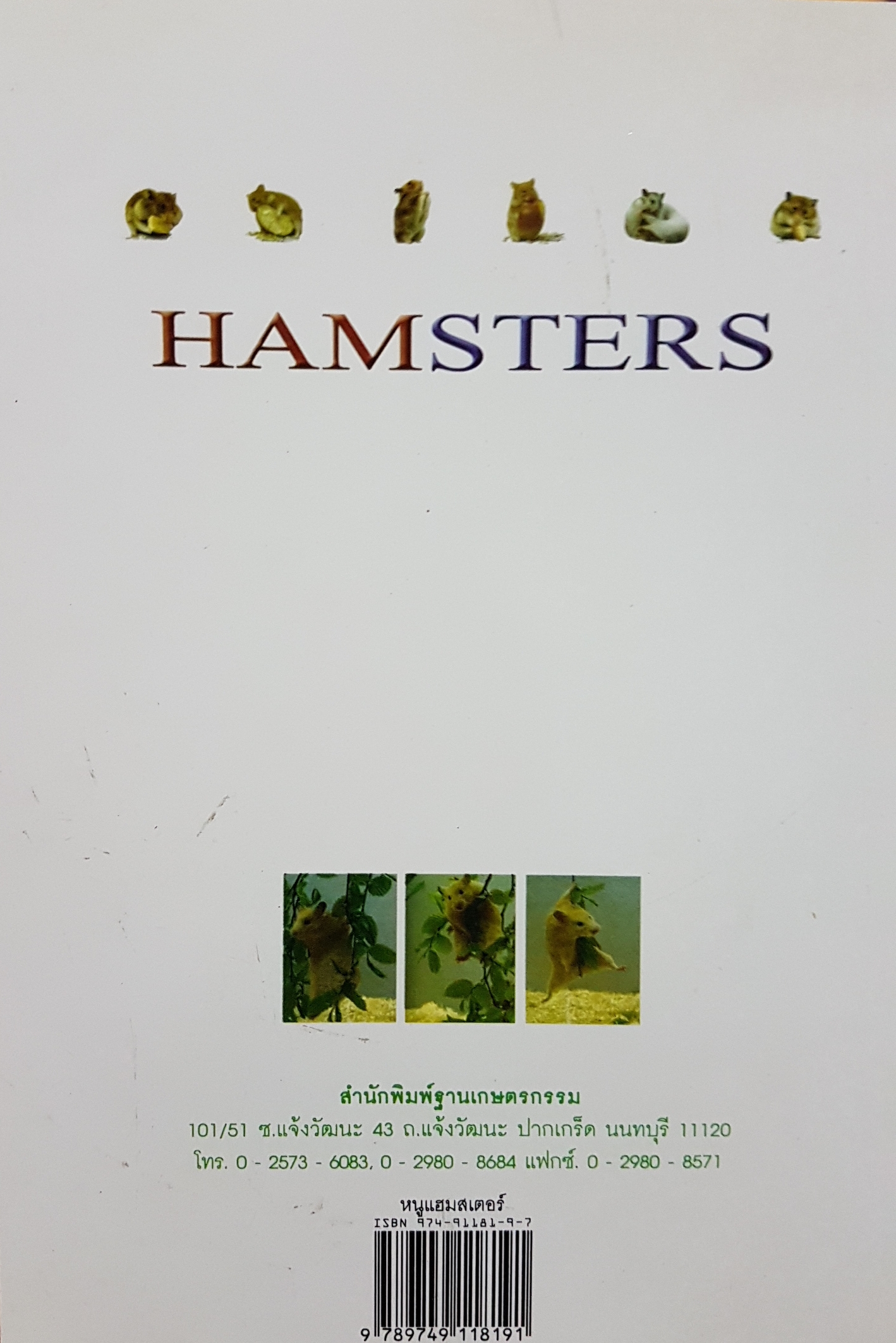 หนูแฮมสเตอร์ Hamsters / กณิกนันต์ ลีฬฆวรรณ