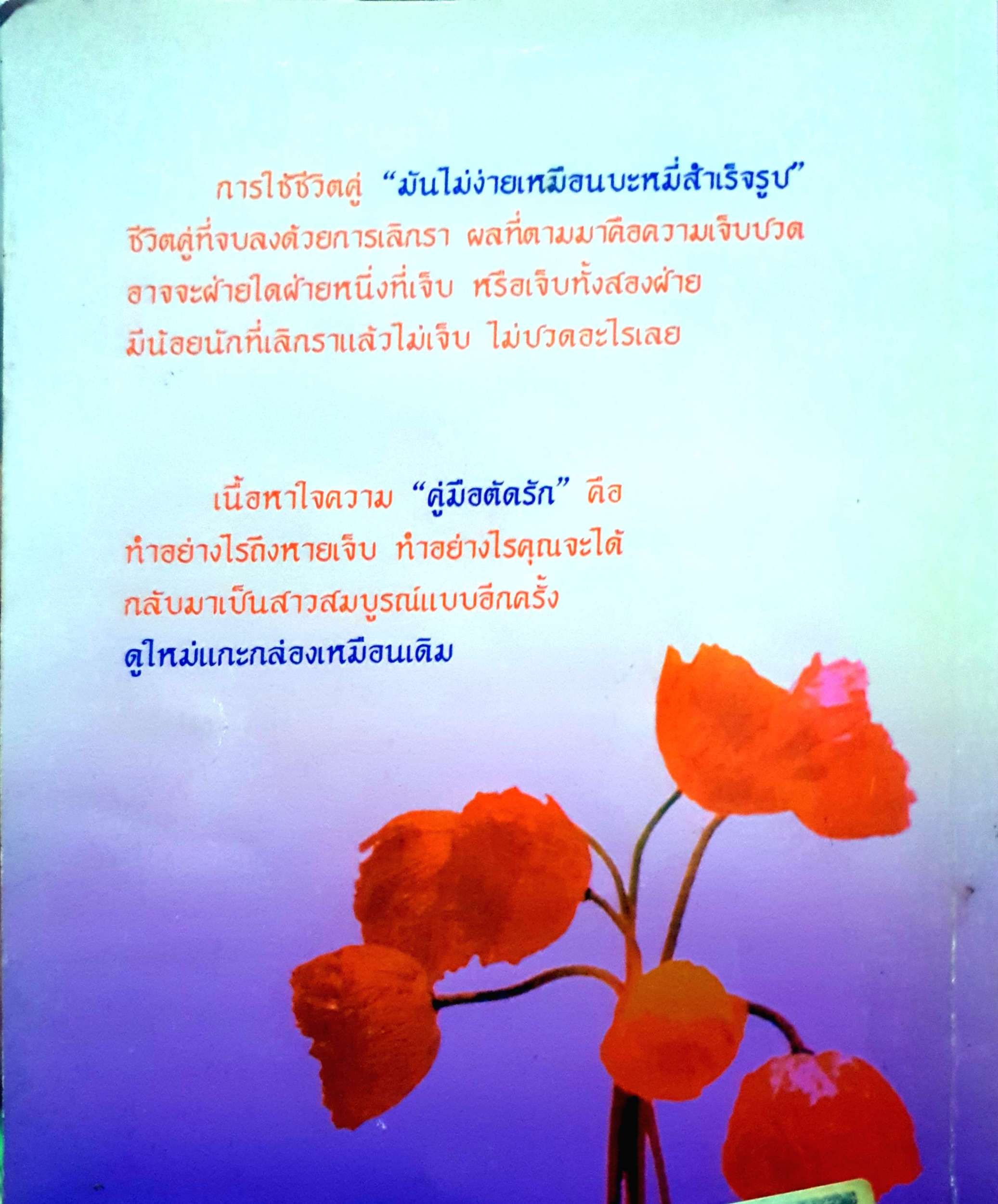 คู่มือตัดรัก แล้วคุณจะดูใหม่ แกะกล่องเหมือนเดิม / เจิดจรัส