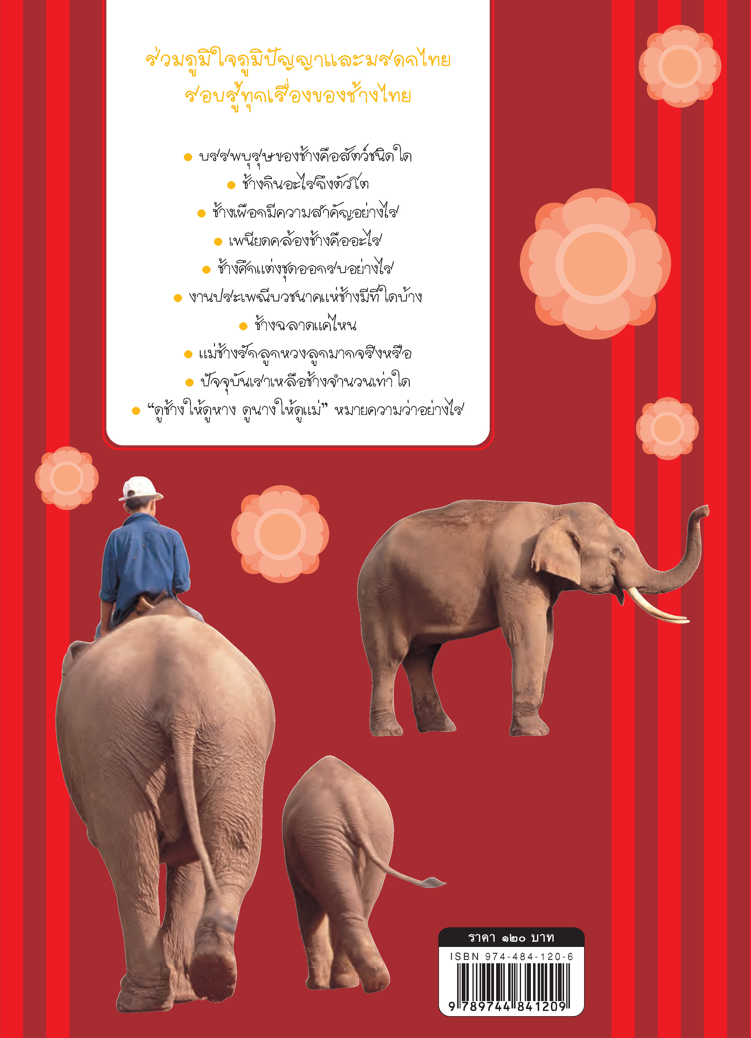 ภูมิใจไทย-ช้างไทย(อาเซียน)