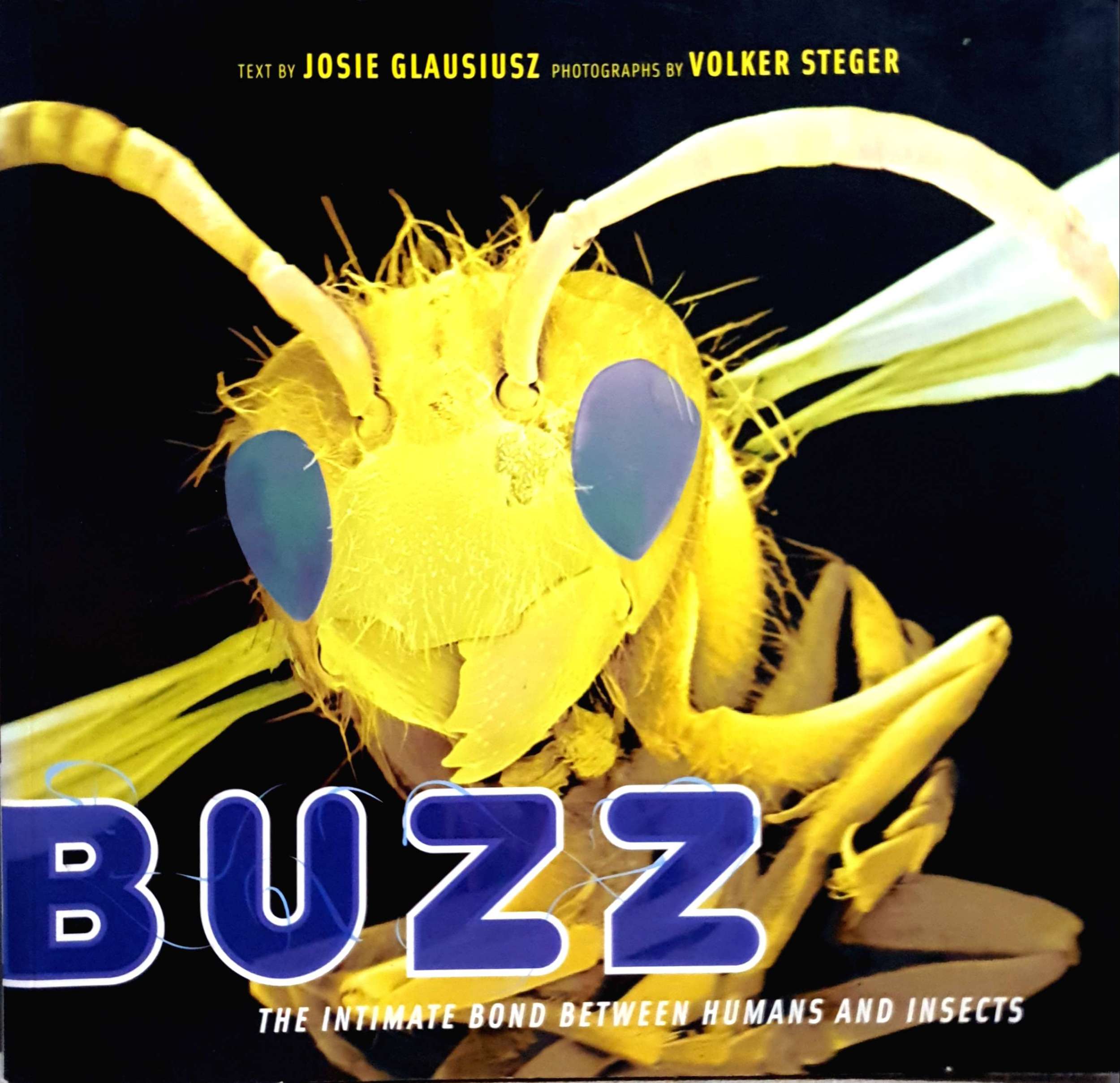 Buzz The Intimate Bond Between Humans and Insects