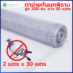 ตาข่ายกันนกพิราบ 2x30 เมตร สีใส - ตาข่ายพลาสติก ตาข่ายกันนก ตาข่ายล้อมไก่ ตาข่ายกันนก ตาข่ายล้อมรั้ว