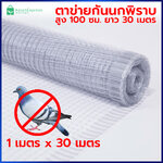 ตาข่ายกันนกพิราบ 1x30 เมตร สีขาวใส - ตาข่ายพลาสติก ตาข่ายกันนก ตาข่ายล้อมไก่ ตาข่ายล้อมบ่อปลา ตาข่ายล้อมรั้ว ตะข่าย