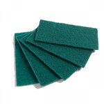 สก็อตไบร์ทเขียว