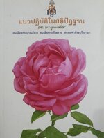 แนวปฏิบัติในสติปัฏฐาน สมเด็จพระญาณสังวร สมเด็จพระสังฆราช สกลมหาสังฆปริณายก