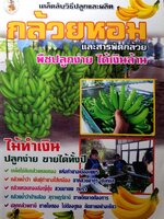 เคล็ดลับวิธีปลูกและผลิต กล้วยหอมและสารพัดกล้วย พืชปลูกง่าย ได้เงินล้าน