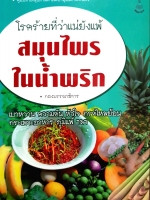 สมุนไพร ในน้ำพริก โรคร้ายที่ว่าแน่ยังแพ้