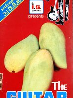 หนังสือเพลง THE GUITAR ยุค 70-80