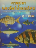 ภาพปลา และสัตว์น้ำของไทย