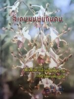 สู่แดนมนุษย์กินคน