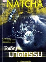 บังเอิญฆาตกรรม : ณัฏชา นฤกวิน