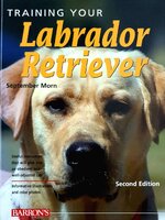 TRAINING YOUR LABRADOR RETRIEVER : September Morn