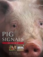 PIG SIGNALS : JAN HULSEN , KEES SCHEEPENS