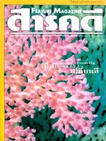 สารคดี ฉบับที่ 168