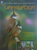 คู่มือเลี้ยงดูลักษณะ และแยกเสียงขัน นกกรงหัวจุก โดย อารยะ