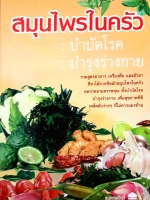 สมุนไพรในครัว บำบัดโรค บำรุงร่างกาย : อ.อรรถสิทธิ์