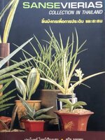 Sanservierias Correction in Thailand ลิ้นมังกรเพื่อการประดับและการสะสม