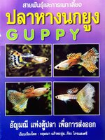 สายพันธุ์และการเพาะเลี้ยงปลาหางนกยูง GUPPY : กฤษณา แก้วชะอุ่ม , พีระ ไกรแสงศรี