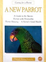A New Parrot - caring for a parrot : David Boruchowitz