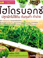 ไฮโดรบอกซ์ ปลูกผักไม่ใช้ดิน ต้นทุนต่ำ ทำง่าย : เฉลิมชัย รุจิเรข