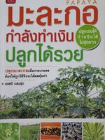 มะละกอกำลังทําเงิน ปลูกได้รวย ปลูกเองได้ ทำจริงได้ ไม่ยุ่งยาก