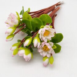 5 ช่อ บัวจิ๋ว แบบไม่มีกระถาง