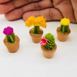 Miniature Cactus set 4 pieces