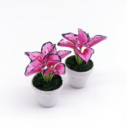 ต้นไม้,ดอกไม้จิ๋วในกระถางดินเผา