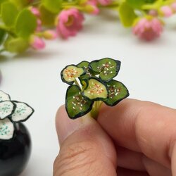 5 ช่อ ต้นบอนสี ดินปั้น แบบไม่มีกระถาง