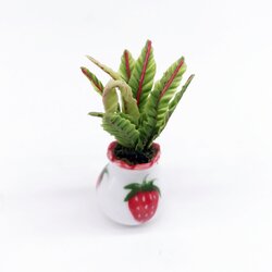 ไม้ใบในกระถางเซรามิคจิ๋ว