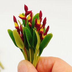 5 ช่อ พืชจิ๋ว ดอกไม้จิ๋ว แบบไม่มีกระถาง