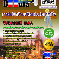 แนวข้อสอบแนวข้อสอบวิศวกรเคมี กฟผ. การไฟฟ้าฝ่ายผลิตแห่งประเทศไทย