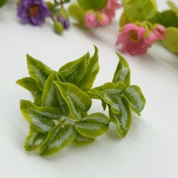 5 ช่อ ต้นบอนสี ดินปั้น แบบไม่มีกระถาง