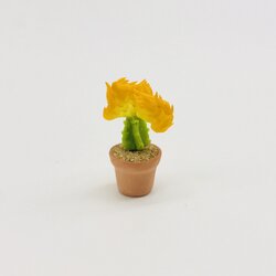Miniature Cactus
