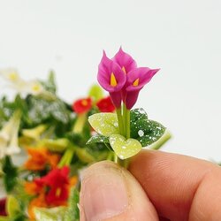 5 ช่อ คาร่าจิ๋ว ดอกไม้จิ๋ว แบบไม่มีกระถาง