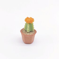 Miniature Cactus