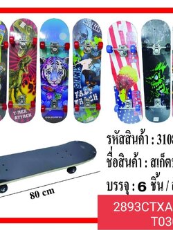 สเก็ตบอร์ด ของเล่นเสริมทักษะ