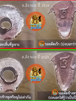 วิธีแยกปี เหรียญพญาเต่าเรือน รุ่นแจกแม่ครัว เนื้อนวะโลหะ ปี 2519 กับ ปี 2525