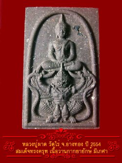 (12) พระสมเด็จทรงครุฑ หลวงปู่ผาด วัดไร่ ปี 2554 เนื้อว่านกากยายักษ์