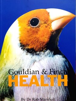 GOULDIAN & FINCH HEALTH : Dr.Rob Marshall