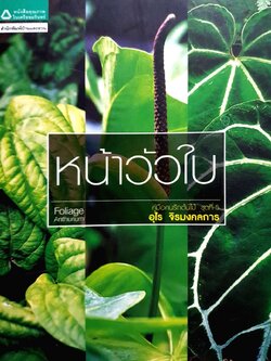 หน้าวัวใบ