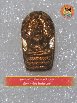 (2) พระนาคปรกใบมะขาม ปี 2558 พ่อท่านเขียว วัดห้วยเงาะ