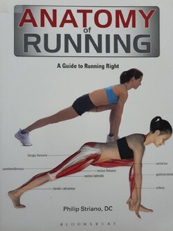 ANATOMY OF RUNNING; A Guide to Running Right : Phillip Striano,DC