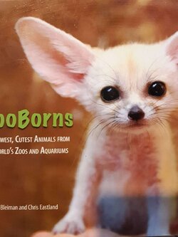 ZOOBORNS : Andrew Bleiman , Chris Eastland