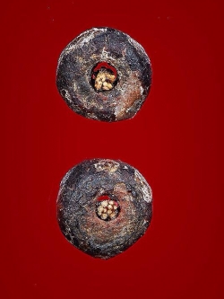 เม็ดประคำหลวงปู่่ทิม ยุคต้น เม็ดเล็กแต่พุทธคุณไม่เล็ก สวยมากครับ /1