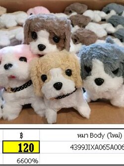 หมา Body (ใหม่)