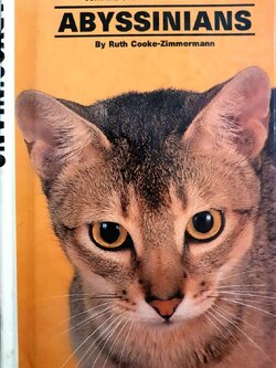 ABYSSINIANS : RUTH COOKE - ZIMMERMAN