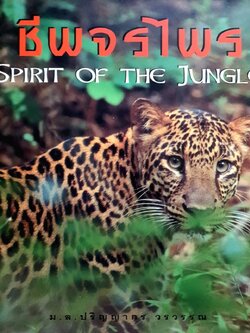 ชีพจรไพร : Spirit of Jungle