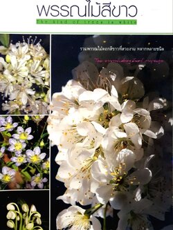 ร้อยพรรณพฤกษา พันธุ์ไม้สีขาว : เศรษฐมันตร์ กาญจนกุล