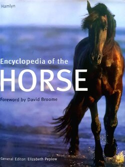 ENCYCLOPEDIA OF THE HORSE : David Broome
